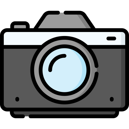 Toggle Camera